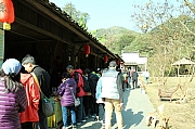 Thumbnail of pic_Grassy_Yuen_501.JPG