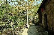 Thumbnail of pic_Grassy_Yuen_526.JPG