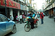 Thumbnail of pic_Grassy_Yuen_553.JPG