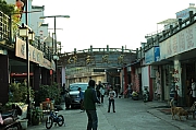 Thumbnail of pic_Grassy_Yuen_561.JPG