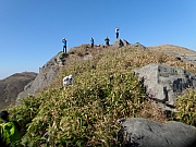Thumbnail of pic_KC_Leung_161.jpg