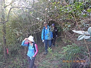 Thumbnail of pic_Wai_024.jpg