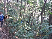 pic_Wai_018.jpg (631918 bytes)