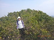 pic_Wai_066.jpg (486509 bytes)