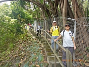 pic_Wai_087.jpg (608900 bytes)