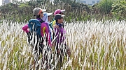 Thumbnail of pic_KC_Leung_121.jpg
