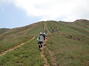 Thumbnail of pic_Thomas_Leung_116.jpg