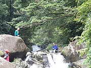 Thumbnail of pic_Thomas_Leung_228.jpg