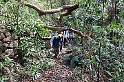 Thumbnail of pic_Tony_Tse_019.jpg