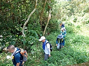 Thumbnail of pic_Wai_020.jpg