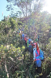 Thumbnail of pic_Tony_Tse_019.jpg