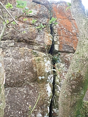 Thumbnail of pic_Kin_Ma_061.jpg