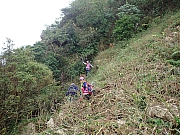 Thumbnail of pic_Wai_090.jpg