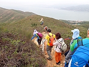 Thumbnail of pic_Thomas_Leung_154.jpg