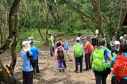 Thumbnail of pic_KL_Sin_085.JPG