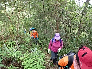 Thumbnail of pic_Thomas_Leung_007.jpg