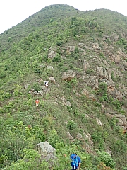 Thumbnail of pic_Wai_139.jpg