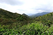 Thumbnail of pic_KL_Sin_028.JPG