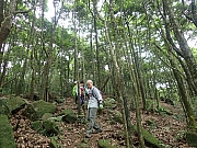 Thumbnail of pic_Wai_092.jpg