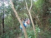 Thumbnail of pic_Wai_072.jpg