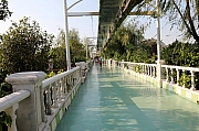 Thumbnail of pic_Grassy_Yuen_073.jpg