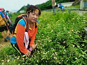 Thumbnail of pic_KC_Leung_121.jpg