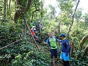 Thumbnail of pic_Wai_078.jpg