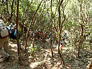 Thumbnail of PB240076.JPG