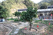 Thumbnail of pic_Grassy_Yuen_060.jpg