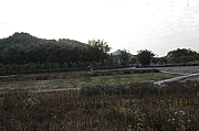 Thumbnail of pic_Grassy_Yuen_069.jpg