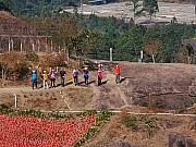 Thumbnail of pic_TB_Tung_121.jpg