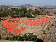 Thumbnail of pic_Thomas_Leung_283.jpg