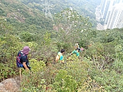 Thumbnail of pic_Ma_Kin_123.jpg