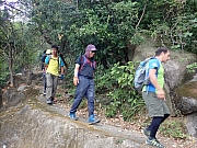 Thumbnail of pic_Wai_142.jpg