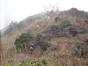 Thumbnail of pic_Wai_199.jpg