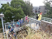 pic_Wai_009.jpg (722699 bytes)