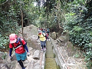 pic_Wai_013.jpg (624758 bytes)