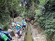 pic_Wai_015.jpg (744978 bytes)