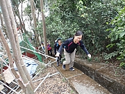 pic_Wai_024.jpg (654370 bytes)