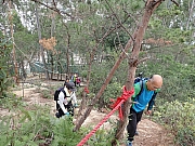 pic_Wai_026.jpg (820991 bytes)
