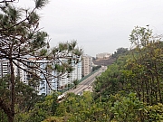 pic_Wai_029.jpg (589043 bytes)