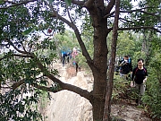 pic_Wai_034.jpg (720557 bytes)