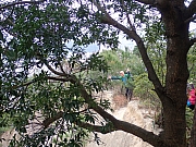 pic_Wai_038.jpg (700917 bytes)