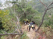 pic_Wai_047.jpg (610879 bytes)