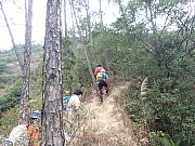 pic_Wai_048.jpg (698502 bytes)
