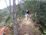 pic_Wai_049.jpg (738804 bytes)