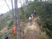 pic_Wai_050.jpg (772011 bytes)