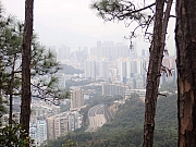 pic_Wai_053.jpg (431743 bytes)