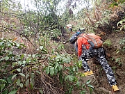 pic_Wai_054.jpg (788135 bytes)