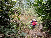 pic_Wai_056.jpg (627752 bytes)